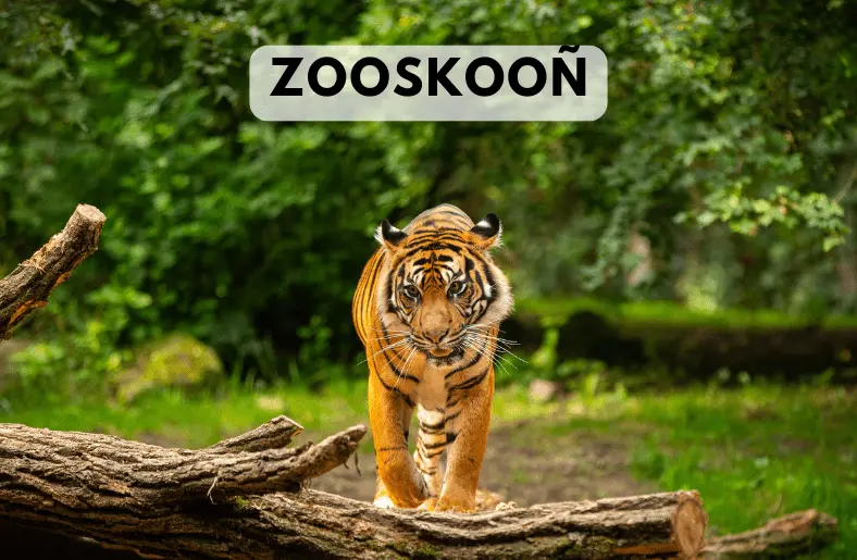 Zooskooñ