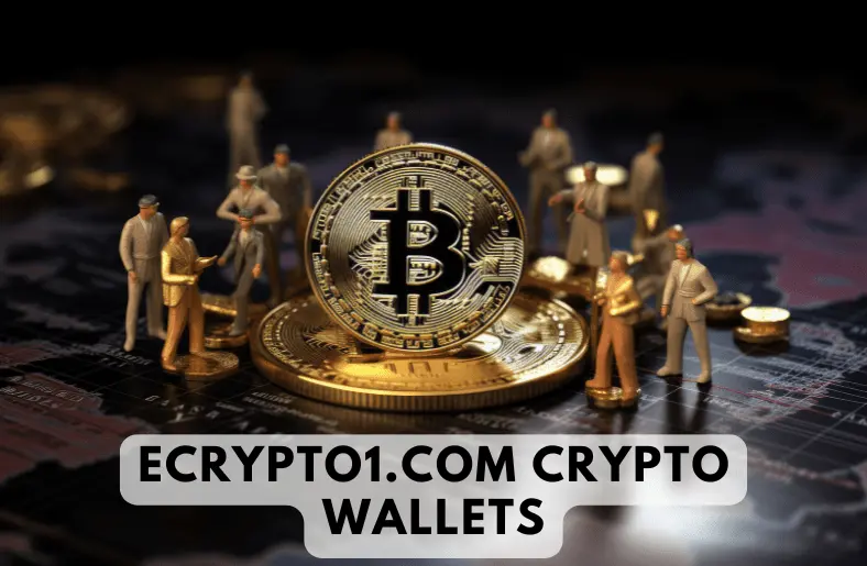 Ecrypto1.com Crypto Wallets